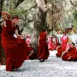 Tibeti szerzetesek harc közben